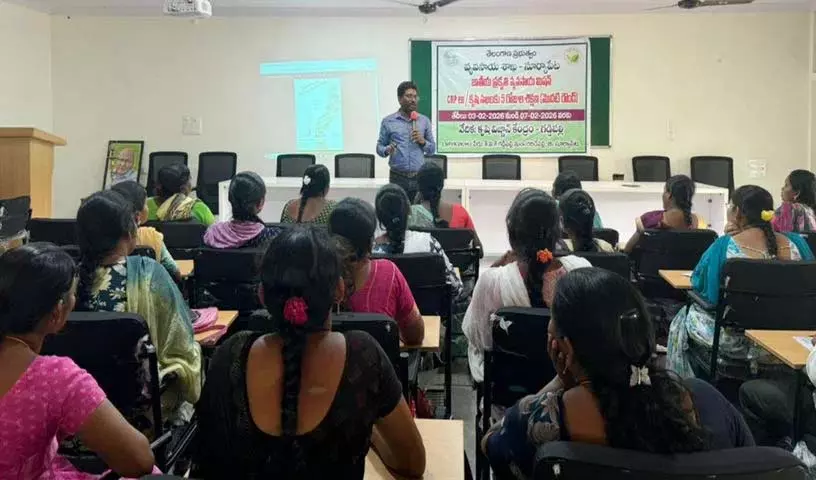 A. Kiran: प्राकृतिक खेती से मिट्टी की उर्वरता बढ़ती है और फायदेमंद कीड़ों की रक्षा होती A. Kiran: प्राकृतिक खेती से मिट्टी की उर्वरता बढ़ती है और फायदेमंद कीड़ों की रक्षा होती