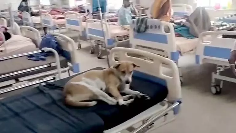 हुगली Hospital में हंगामा, सरमेया बिस्तर पर पड़ी हुगली Hospital में हंगामा, सरमेया बिस्तर पर पड़ी