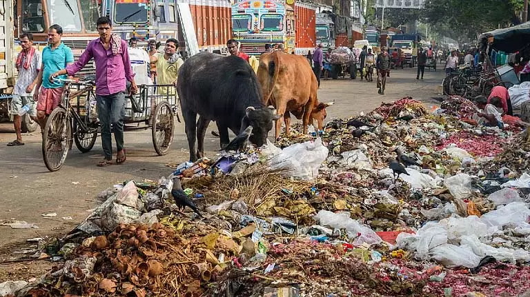 कचरा डंप में खराब हालात, बीमारी फैलने का डर कचरा डंप में खराब हालात, बीमारी फैलने का डर