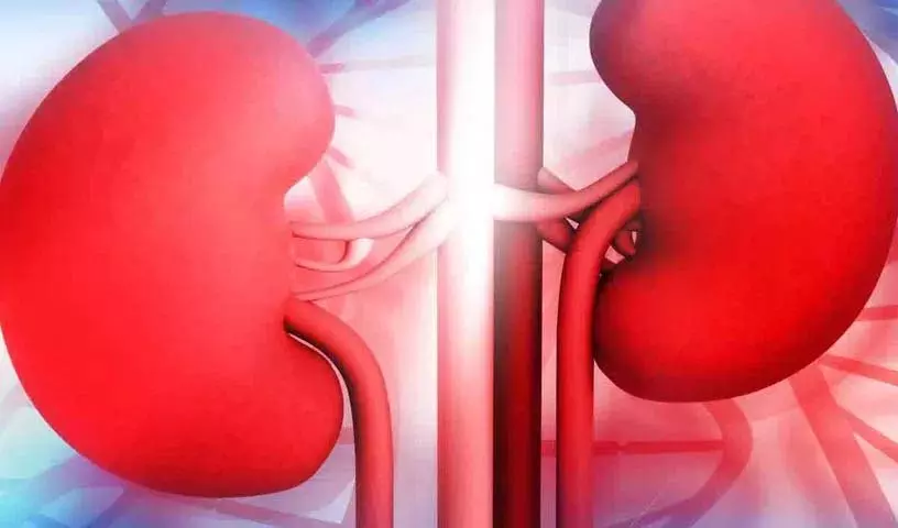 ऐसी आदतें जो Kidney को नुकसान पहुंचाती हैं, अगर आप में ये आदतें हैं तो आपको बीमारियां होंगी ऐसी आदतें जो Kidney को नुकसान पहुंचाती हैं, अगर आप में ये आदतें हैं तो आपको बीमारियां होंगी