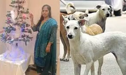 Gwalior : आवारा कुत्ते के काटने से महिला की मौत Gwalior : आवारा कुत्ते के काटने से महिला की मौत