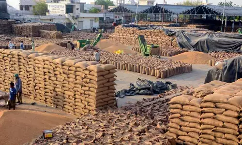 केंद्र ने 2 साल में पंजाब से 124 LMT गेहूं, 173 LMT धान खरीदा: केंद्र