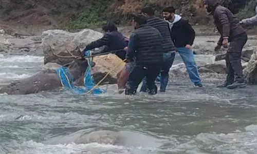 Himachal: तीर्थन नदी से बचाए गए सांभर की इलाज के दौरान मौत हो गई Himachal: तीर्थन नदी से बचाए गए सांभर की इलाज के दौरान मौत हो गई