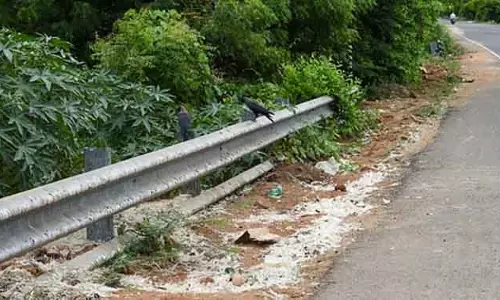 चेन्नई में कौवों की मौत: H5N1 वायरस इन्फेक्शन की पुष्टि हुई चेन्नई में कौवों की मौत: H5N1 वायरस इन्फेक्शन की पुष्टि हुई