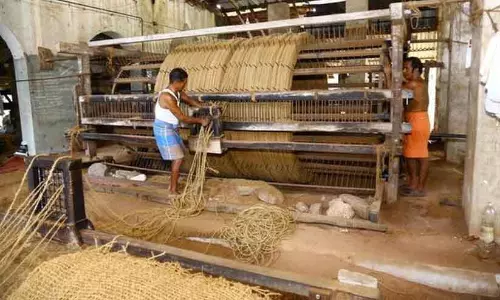 Kerala: नारियल उद्योग ठप हो गया है, मजदूर हाईवे पर Kerala: नारियल उद्योग ठप हो गया है, मजदूर हाईवे पर