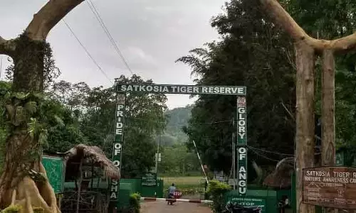 सतकोसिया वाइल्डलाइफ़ सैंक्चुअरी को इको-टूरिज्म के लिए 100 करोड़ रुपये का बूस्ट