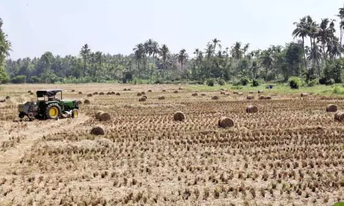 Kerala : किसान निराश हैं क्योंकि पराली का कोई मूल्य नहीं है Kerala : किसान निराश हैं क्योंकि पराली का कोई मूल्य नहीं है
