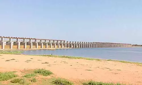 महानदी जल विवाद: Odisha ने केंद्र से मध्यस्थता कर मामला सुलझाने का आग्रह किया