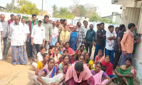 Forest Officials की हिरासत में युवक, आदिवासियों ने विरोध प्रदर्शन किया Forest Officials की हिरासत में युवक, आदिवासियों ने विरोध प्रदर्शन किया