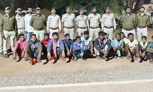बस्तर के जंगल से 14 अतिक्रमणकारी गिरफ्तार