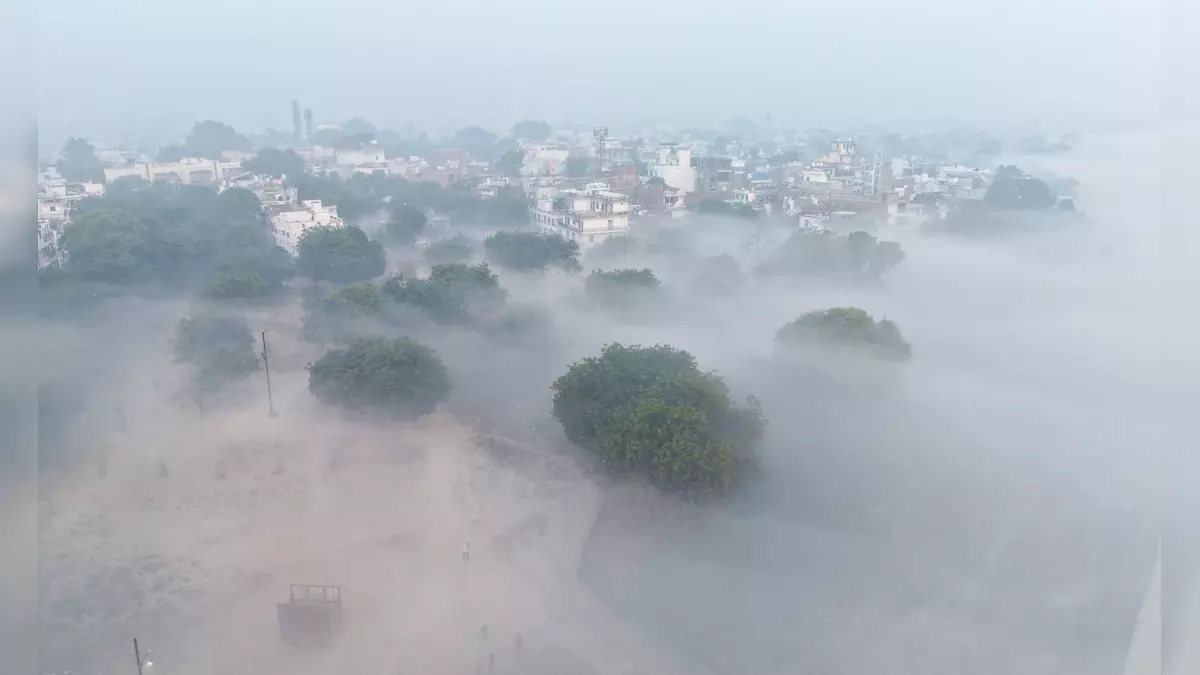 Bhopal: ठंड और कोहरे से मप्र बेहाल, कई जिले प्रभावित Bhopal: ठंड और कोहरे से मप्र बेहाल, कई जिले प्रभावित