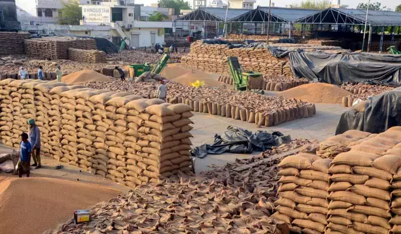 केंद्र ने 2 साल में पंजाब से 124 LMT गेहूं, 173 LMT धान खरीदा: केंद्र केंद्र ने 2 साल में पंजाब से 124 LMT गेहूं, 173 LMT धान खरीदा: केंद्र