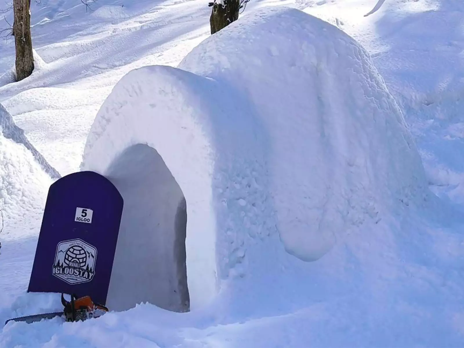 Himachal Pradesh: सेथन इग्लू गांव बना नया पर्यटन आकर्षण Himachal Pradesh: सेथन इग्लू गांव बना नया पर्यटन आकर्षण