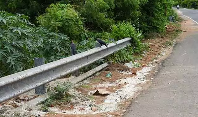 चेन्नई में कौवों की मौत: H5N1 वायरस इन्फेक्शन की पुष्टि हुई चेन्नई में कौवों की मौत: H5N1 वायरस इन्फेक्शन की पुष्टि हुई