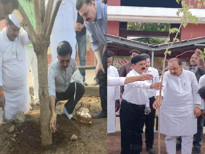 Ajitdada द्वारा सतारा में लगाए गए पेड़ में राख का विसर्जन Ajitdada द्वारा सतारा में लगाए गए पेड़ में राख का विसर्जन
