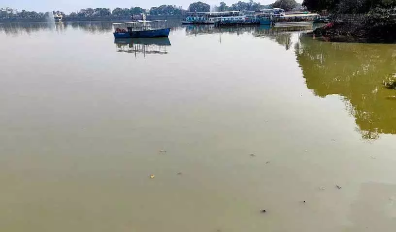 Hussain Sagar का पानी पीला हो गया, बदबू से लोग परेशान Hussain Sagar का पानी पीला हो गया, बदबू से लोग परेशान