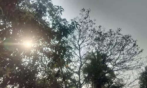 छत्तीसगढ़ के मौसम में विशेष परिवर्तन के आसार नहीं
