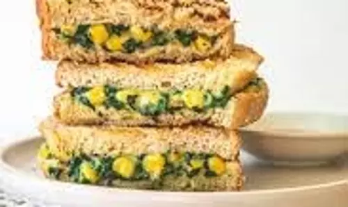 Palak Corn Sandwich :टिफिन के लिए तैयार करें ये लाजवाब पालक कॉर्न सैंडविच Palak Corn Sandwich :टिफिन के लिए तैयार करें ये लाजवाब पालक कॉर्न सैंडविच
