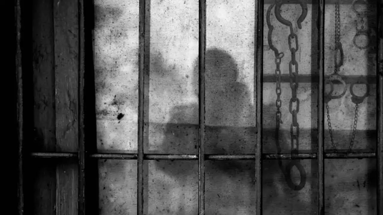 Andhra: 6 RS लॉग जब्त, 2 तस्कर पकड़े गए Andhra: 6 RS लॉग जब्त, 2 तस्कर पकड़े गए