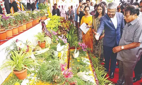 वीआईटी में उझावर संगमम, भारत वैश्विक केला उत्पादन में शीर्ष पर: NRCB Director वीआईटी में उझावर संगमम, भारत वैश्विक केला उत्पादन में शीर्ष पर: NRCB Director