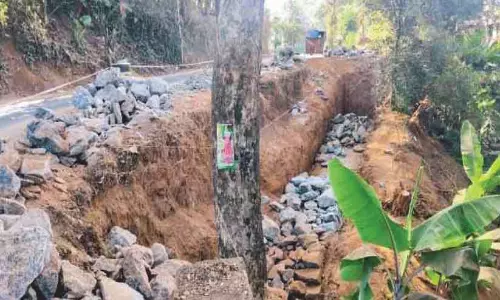 Kerala : पेड़ स्टेट हाईवे के निर्माण के रास्ते में आ रहा है Kerala : पेड़ स्टेट हाईवे के निर्माण के रास्ते में आ रहा है