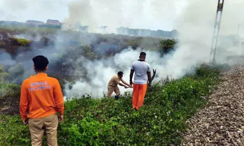 Kerala: थिरुवल्ला में धान के खेतों में आग लग गई, फायर ब्रिगेड ने आग बुझाई Kerala: थिरुवल्ला में धान के खेतों में आग लग गई, फायर ब्रिगेड ने आग बुझाई