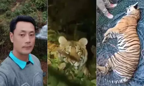 Arunachal Pradesh में पुलिसकर्मी की मौत के बाद गोली लगने के घाव के साथ बाघ मृत मिला