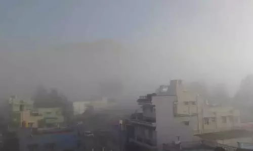 Karnataka : घने कोहरे की चादर ने ताड़ के पेड़ों को ढक लिया है Karnataka : घने कोहरे की चादर ने ताड़ के पेड़ों को ढक लिया है