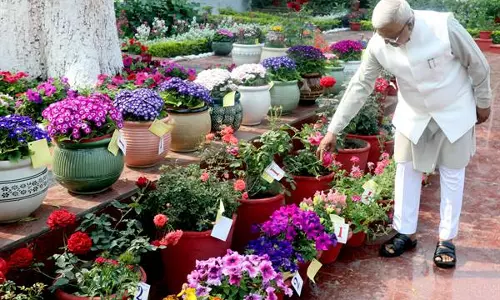 Bhopal: पुरस्कार से सम्मानित हुए राज्यपाल पटेल, मेहनत की सराहना Bhopal: पुरस्कार से सम्मानित हुए राज्यपाल पटेल, मेहनत की सराहना