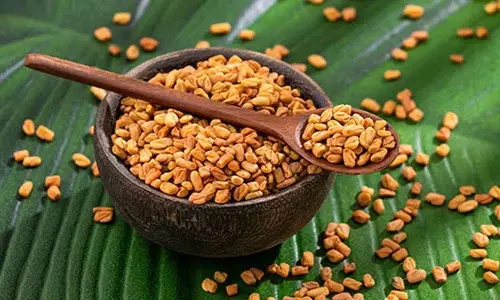 मेथी के दानों को इन चीज़ों के साथ मिलाएं, इससे आपको कई शानदार Health Benefits मिलेंगे