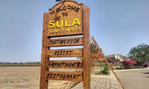 Sula Vineyards का Q3 नेट प्रॉफिट 68% गिरकर 9.1 करोड़ रुपये रहा Sula Vineyards का Q3 नेट प्रॉफिट 68% गिरकर 9.1 करोड़ रुपये रहा