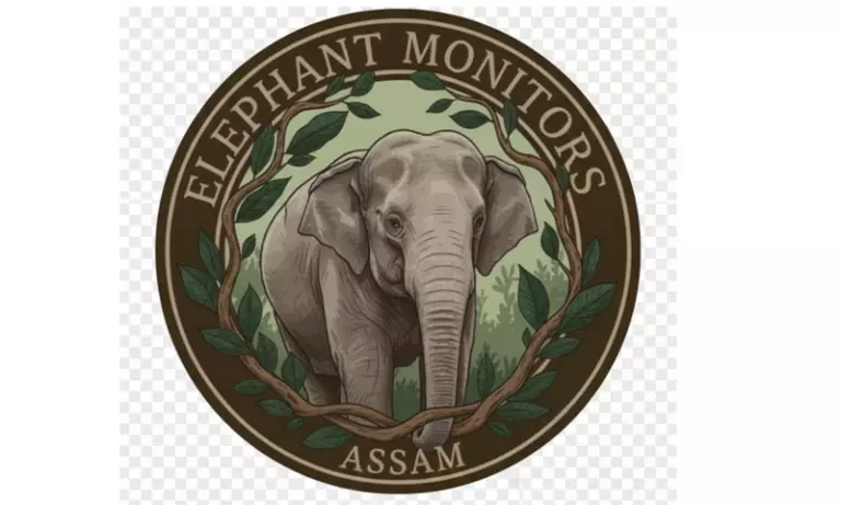 Elephant Monitors असम ने ‘अवैध’ इलेक्ट्रिक फेंसिंग के खिलाफ कार्रवाई की मांग की