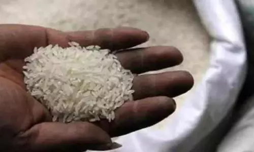 FAO का अनुमान: 2025-26 में वैश्विक चावल उत्पादन रिकॉर्ड स्तर पर, भारत ने प्रमुख योगदान दिया FAO का अनुमान: 2025-26 में वैश्विक चावल उत्पादन रिकॉर्ड स्तर पर, भारत ने प्रमुख योगदान दिया