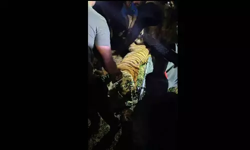 East Godavari : गांवों में तेंदुए ने दहशत फैलाई, वन अधिकारियों ने आखिरकार पकड़ा East Godavari : गांवों में तेंदुए ने दहशत फैलाई, वन अधिकारियों ने आखिरकार पकड़ा