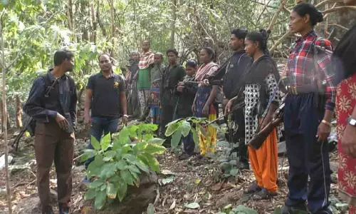 Odisha में टॉप माओवादी नेता निखिल और पत्नी इंदु ने सरेंडर किया Odisha में टॉप माओवादी नेता निखिल और पत्नी इंदु ने सरेंडर किया