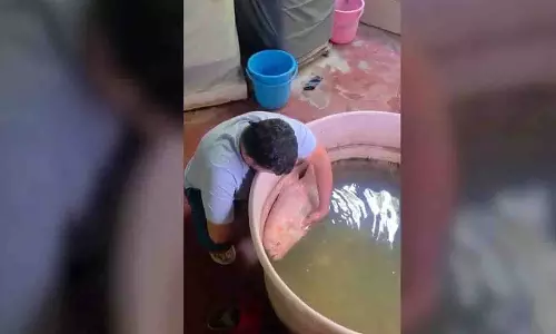 20 साल का साथ टूटा: Odisha में परिवार ने पालतू मछली को दी अंतिम विदाई 20 साल का साथ टूटा: Odisha में परिवार ने पालतू मछली को दी अंतिम विदाई