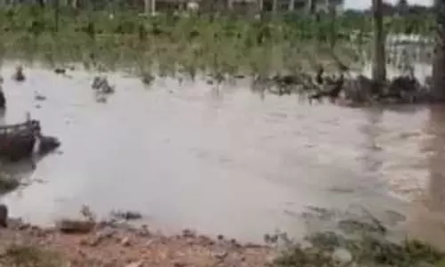 राजस्थान: एनजीटी ने भीलवाड़ा में जल निकायों से अतिक्रमण हटाने का आदेश दिया