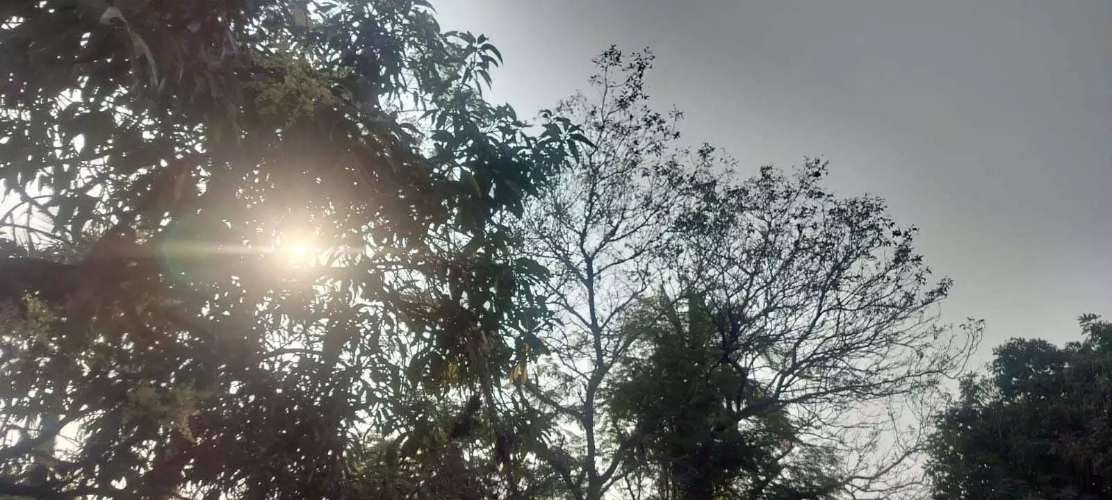 छत्तीसगढ़ के मौसम में विशेष परिवर्तन के आसार नहीं छत्तीसगढ़ के मौसम में विशेष परिवर्तन के आसार नहीं