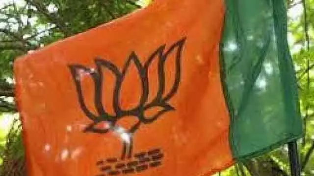 BJP में सच बोलने की आज़ादी है: कराटे थियागराजन BJP में सच बोलने की आज़ादी है: कराटे थियागराजन