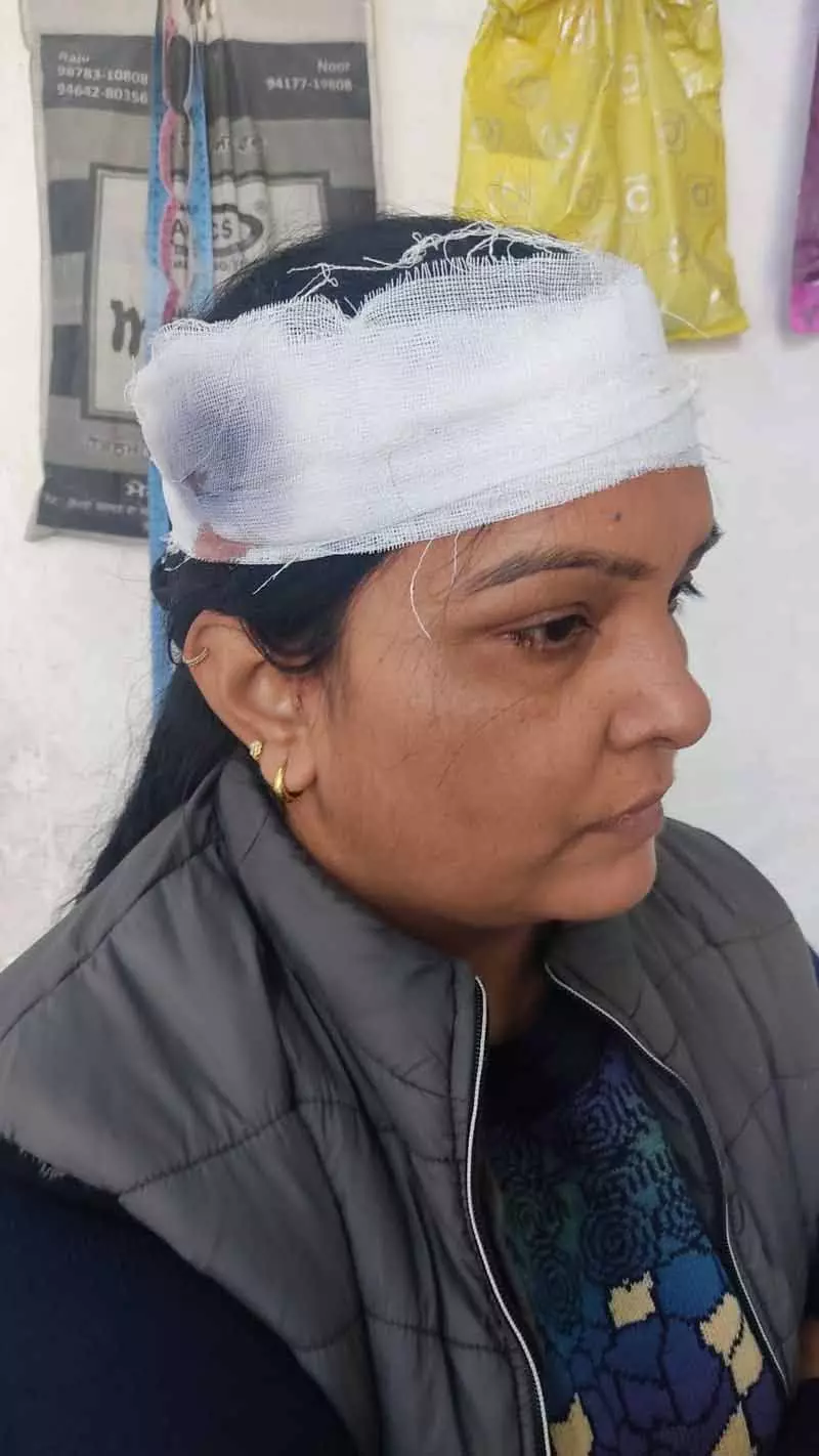कुत्ते की पॉटी को लेकर विवाद हिंसक हुआ, Jamalpur में पड़ोसी ने कपल पर हमला किया कुत्ते की पॉटी को लेकर विवाद हिंसक हुआ, Jamalpur में पड़ोसी ने कपल पर हमला किया