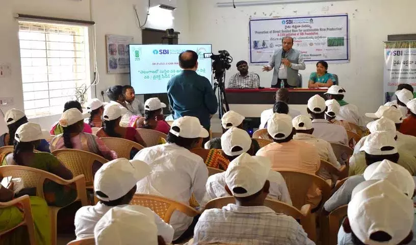 Bhadradri Kothagudem में धान बोने का प्रशिक्षण आयोजित किया गया Bhadradri Kothagudem में धान बोने का प्रशिक्षण आयोजित किया गया