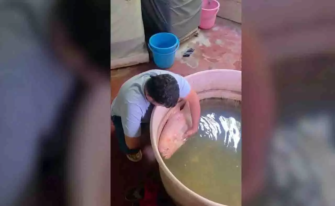 20 साल का साथ टूटा: Odisha में परिवार ने पालतू मछली को दी अंतिम विदाई 20 साल का साथ टूटा: Odisha में परिवार ने पालतू मछली को दी अंतिम विदाई
