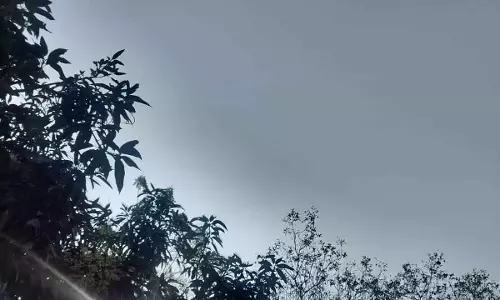 रायपुर संभाग में हल्की बारिश की संभावना