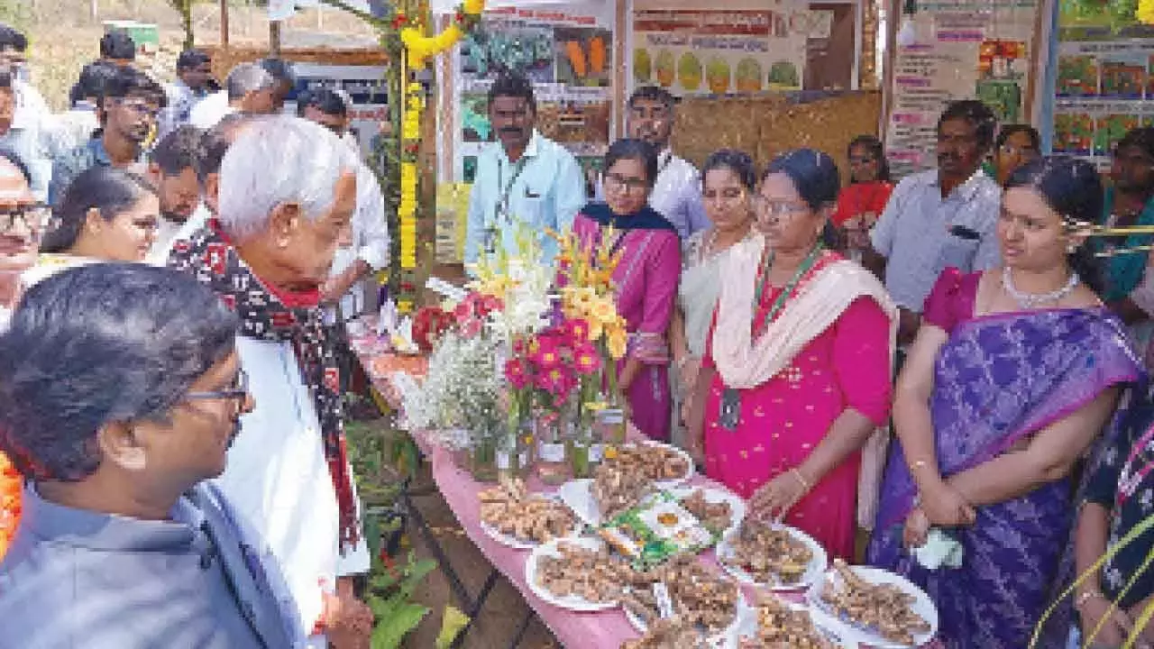 विलुप्त हो रहे देसी, पारंपरिक बीजों को बचाएं: Kodanda Reddy