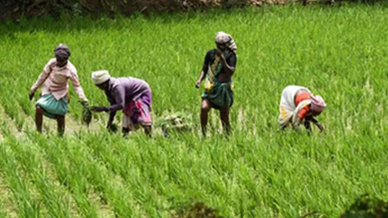 Andhra: ‘किसानों को बागवानी फसलों की ओर जाने के लिए प्रेरित करें’ Andhra: ‘किसानों को बागवानी फसलों की ओर जाने के लिए प्रेरित करें’