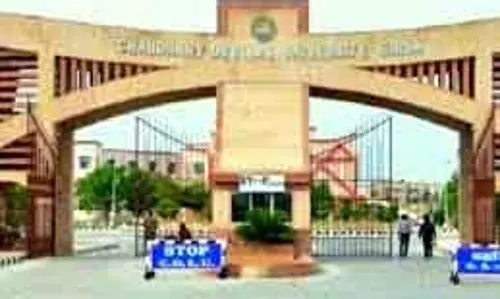 Sirsa यूनिवर्सिटी के प्लेसमेंट ड्राइव में 20 छात्रों को नौकरी मिली।