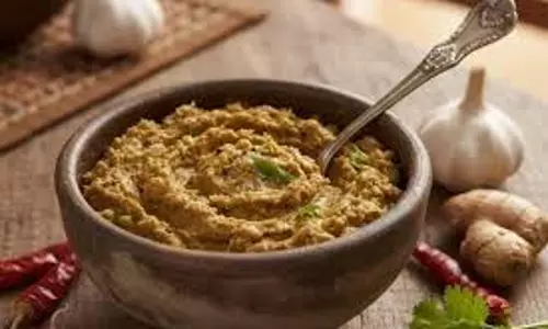 Kathal Ki Chutney Recipe: कटहल की चटपटी चटनी से बढ़ाएं खाने का स्वाद Kathal Ki Chutney Recipe: कटहल की चटपटी चटनी से बढ़ाएं खाने का स्वाद