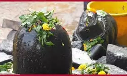 Mahashivratri 2026: महाशिवरात्रि पर बेलपत्र, धतूरा और भांग क्यों चढ़ाए जाते हैं? जानें धार्मिक कारण Mahashivratri 2026: महाशिवरात्रि पर बेलपत्र, धतूरा और भांग क्यों चढ़ाए जाते हैं? जानें धार्मिक कारण