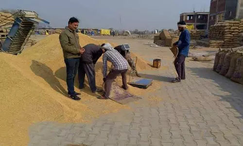‘घोस्ट प्रोक्योरमेंट’: एसआईटी ने Karnal में पांच अधिकारियों को गिरफ्तार किया ‘घोस्ट प्रोक्योरमेंट’: एसआईटी ने Karnal में पांच अधिकारियों को गिरफ्तार किया