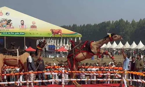 पशुपालन किसानों की आय बढ़ाने के लिए महत्वपूर्ण है: Haryana के कृषि मंत्री पशुपालन किसानों की आय बढ़ाने के लिए महत्वपूर्ण है: Haryana के कृषि मंत्री